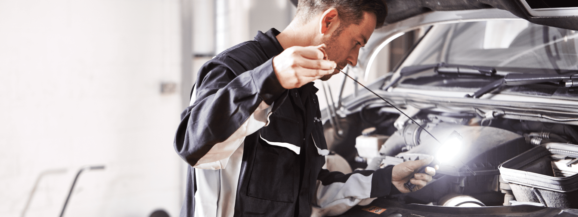 Careers at Ciceley