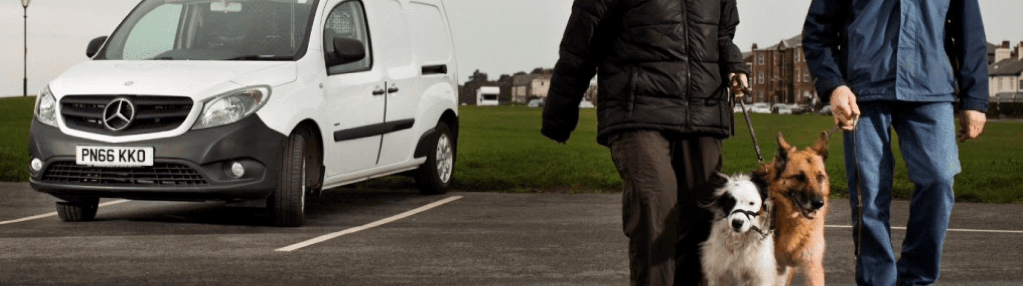 Dog-lovers-play-the-Extra-long-game-with-Mercedes-Benz-Citan-desktop